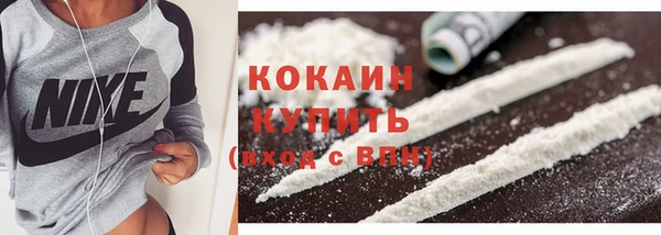 индика Зеленокумск