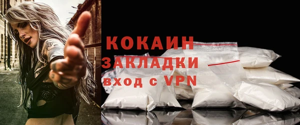 индика Зеленокумск