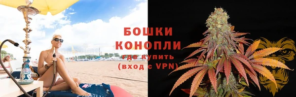индика Зеленокумск