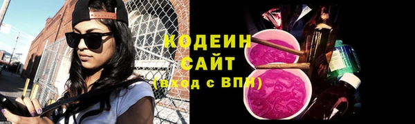 индика Зеленокумск