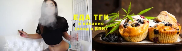 индика Зеленокумск