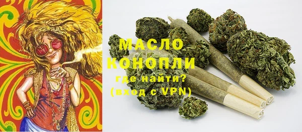 индика Зеленокумск