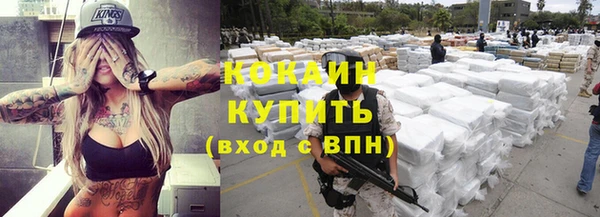 индика Зеленокумск