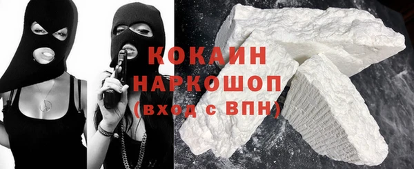 индика Зеленокумск
