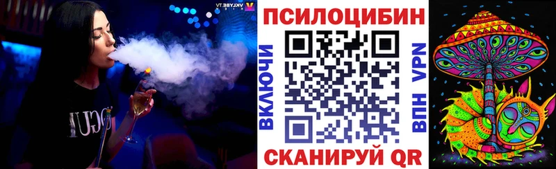 Псилоцибиновые грибы Psilocybe Благодарный